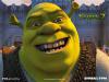 bweN diorD's Avatar